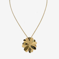 Estrella de Petalos