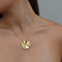 Estrella de Petalos